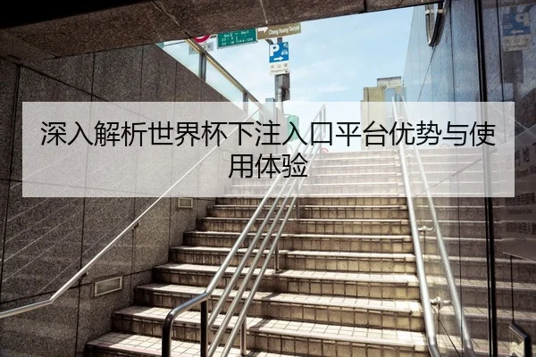 深入解析世界杯下注入口平台优势与使用体验