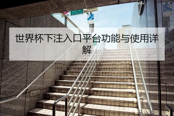 世界杯下注入口平台功能与使用详解