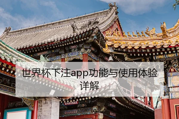世界杯下注app功能与使用体验详解