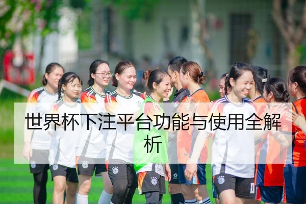 世界杯下注平台功能与使用全解析