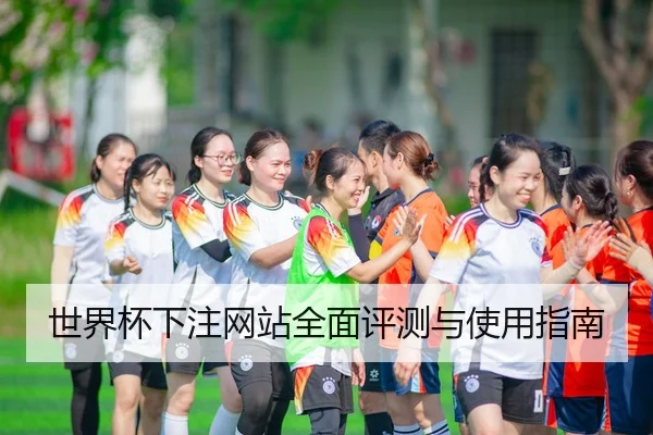 世界杯下注网站全面评测与使用指南