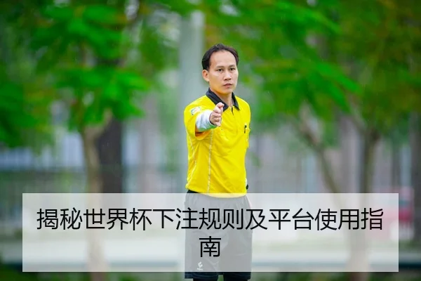 揭秘世界杯下注规则及平台使用指南