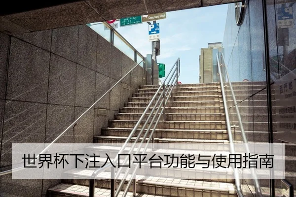 世界杯下注入口平台功能与使用指南