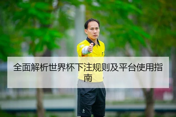全面解析世界杯下注规则及平台使用指南