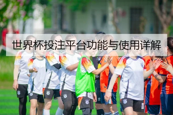 世界杯投注平台功能与使用详解