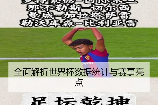 全面解析世界杯数据统计与赛事亮点