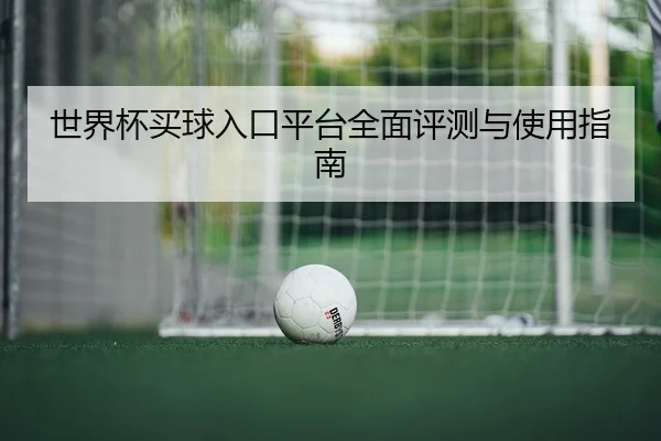 世界杯买球入口平台全面评测与使用指南