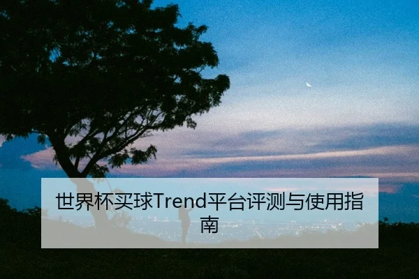 世界杯买球Trend平台评测与使用指南