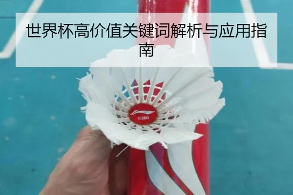 世界杯高价值关键词解析与应用指南