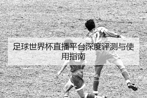 足球世界杯直播平台深度评测与使用指南