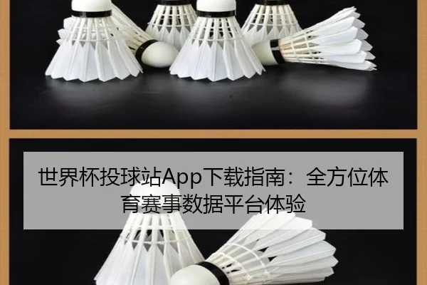 世界杯投球站App下载指南：全方位体育赛事数据平台体验