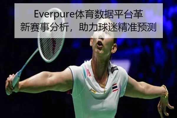 Everpure体育数据平台革新赛事分析，助力球迷精准预测